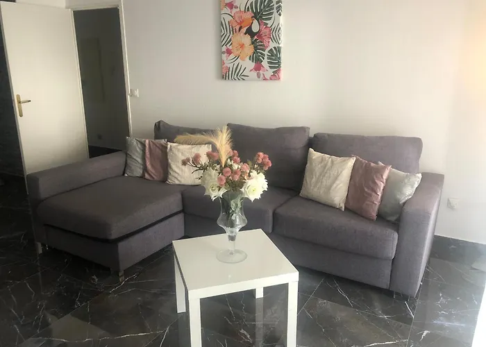 Daire 3 Pieces 2 Sdb Centre De Cannes